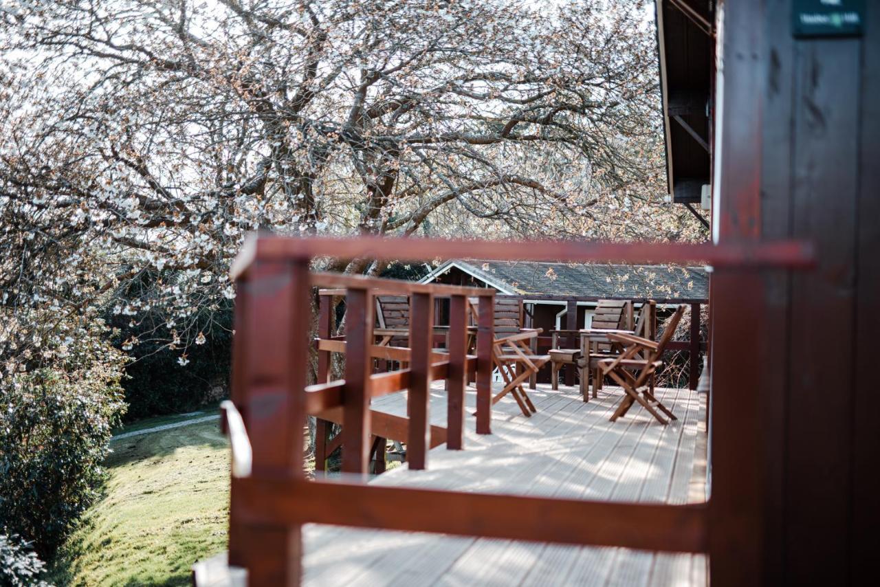 ברואד הייבן Timber Hill Self Catering Cedar Lodges מראה חיצוני תמונה