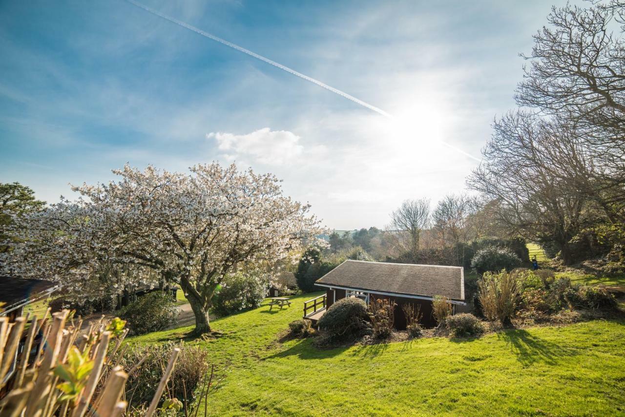 ברואד הייבן Timber Hill Self Catering Cedar Lodges מראה חיצוני תמונה