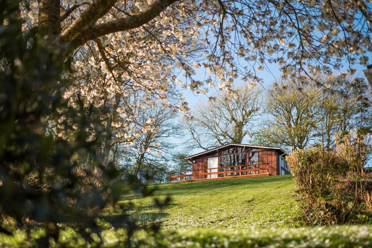 ברואד הייבן Timber Hill Self Catering Cedar Lodges מראה חיצוני תמונה